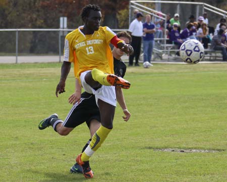 Cats Get Ready to Kick Their Way Back into Top Ten