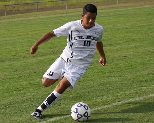 Cats Ready to Begin Season