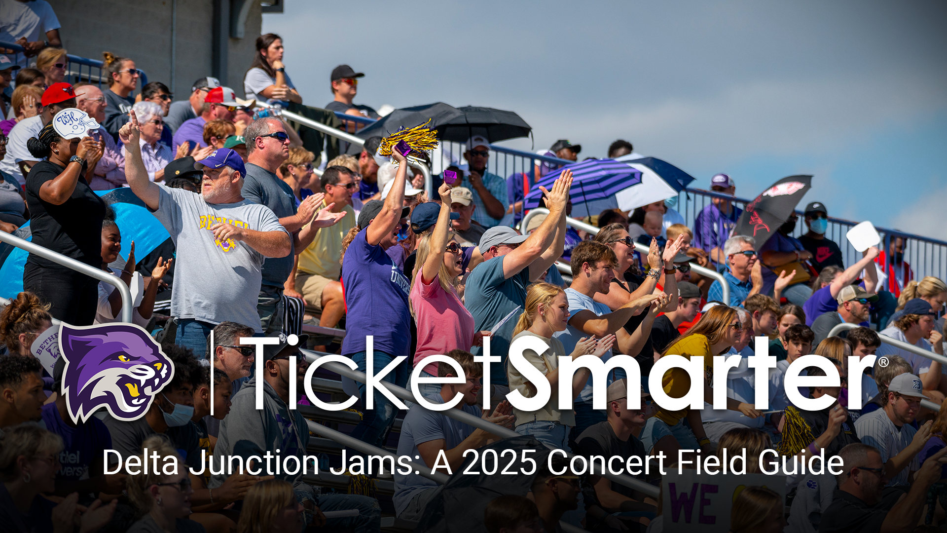Delta Junction Jams: A 2025 Concert Field Guide for Bethel University Wildcats