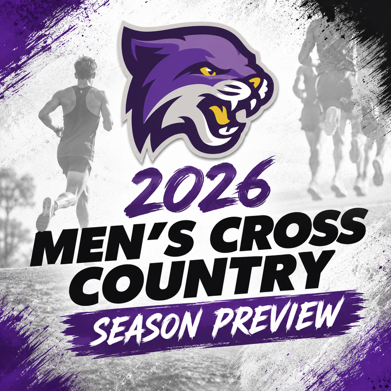 Wildcat Men's 2026 Cross Country Preview