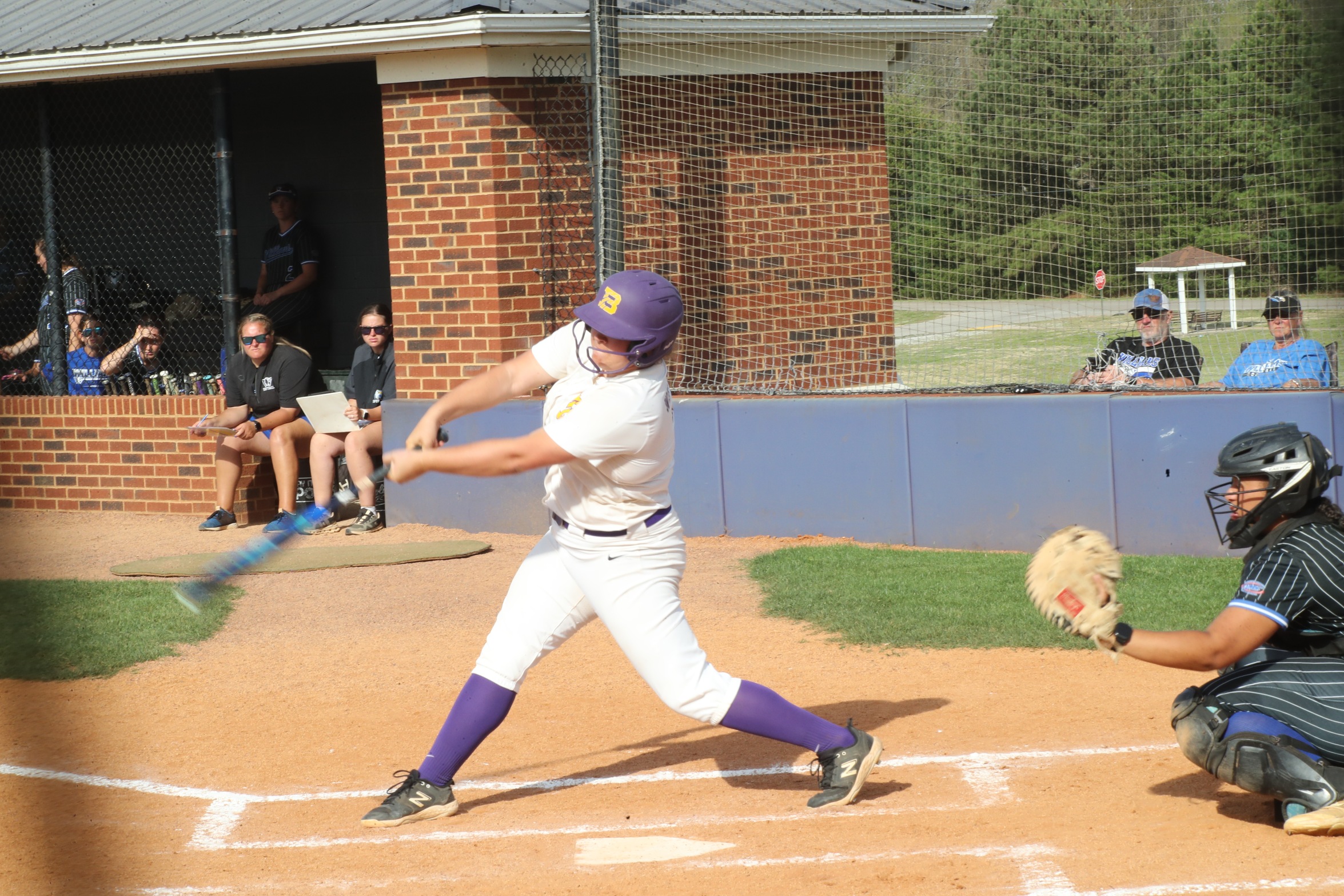 Cats & Tigers Meet in MSC Weekend Softball Series