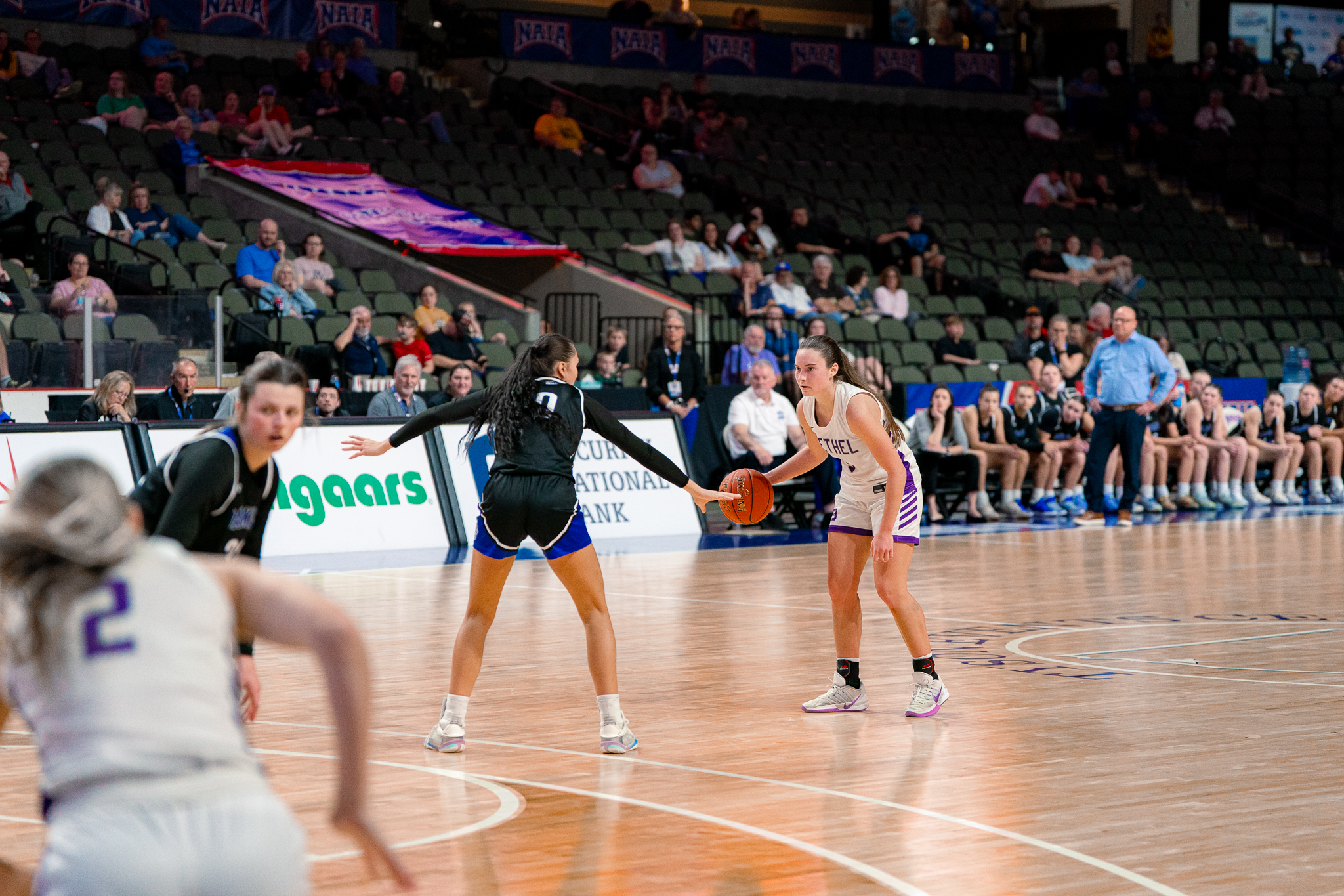Lady Wildcats Fall Short in Quarterfinals of NAIA Championships