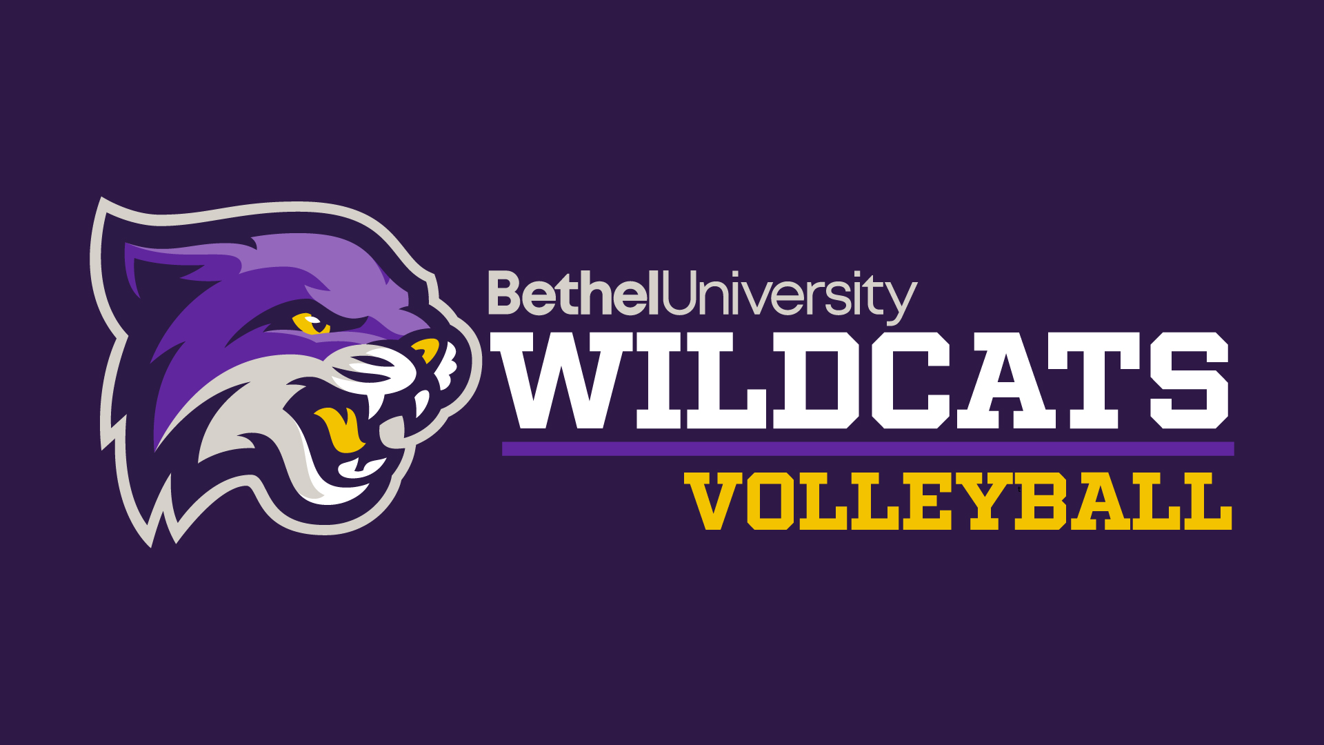 Volleyball Drops Match at No.10 Cumberlands